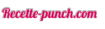 Recette-punch.com