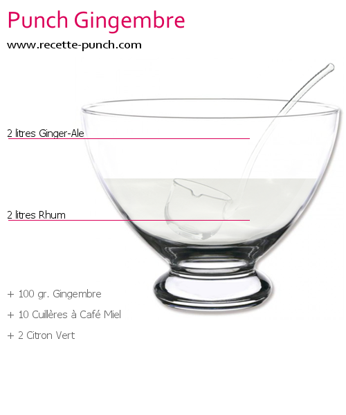 Photo Cocktail PUNCH GINGEMBRE Cocktail PUNCH GINGEMBRE