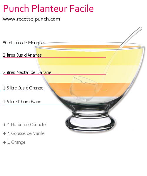 Cocktail PUNCH PLANTEUR FACILE