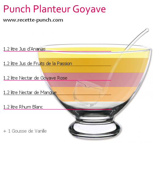 Cocktail PUNCH PLANTEUR GOYAVE