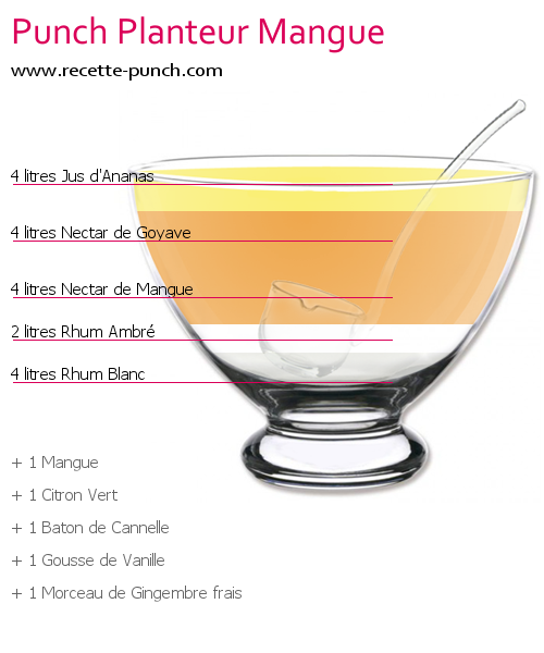 Cocktail PUNCH PLANTEUR MANGUE