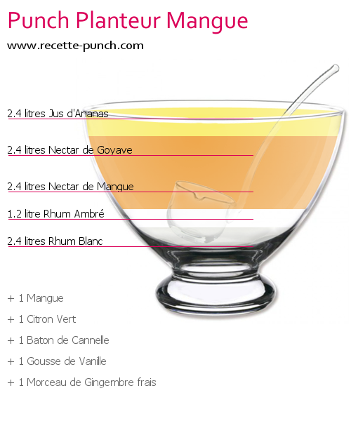 Cocktail PUNCH PLANTEUR MANGUE